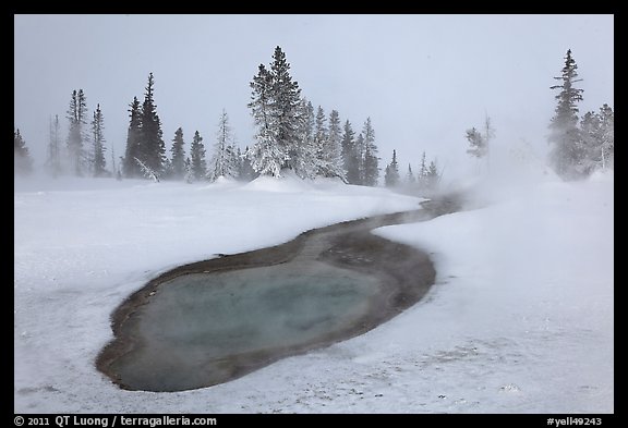 Thermal pool in winter, West Thumb Geyser Basin. Yellowstone National Park (color)