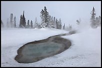 Thermal pool in winter, West Thumb Geyser Basin. Yellowstone National Park ( color)