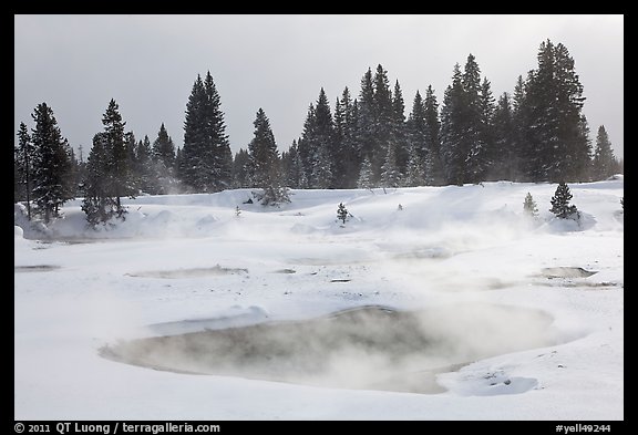 Steam rising from pool in winter, West Thumb. Yellowstone National Park (color)