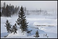 Snow-covered West Thumb thermal basin. Yellowstone National Park, Wyoming, USA. (color)