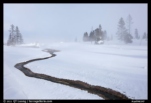 Thermal run-off and snowy landscape. Yellowstone National Park (color)