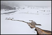 Winter landscape with thermal run-off. Yellowstone National Park ( color)