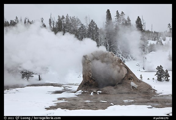 Giant Geyser cone and steam in winter. Yellowstone National Park (color)