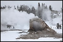Giant Geyser cone and steam in winter. Yellowstone National Park, Wyoming, USA. (color)