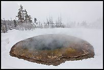 Morning Glory Pool, winter. Yellowstone National Park ( color)