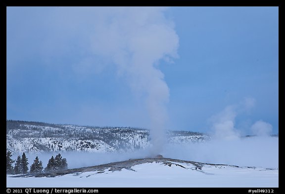 Old Faithful geyser plume in winter. Yellowstone National Park (color)