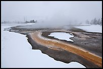 Mirror Pool, snow and steam. Yellowstone National Park ( color)