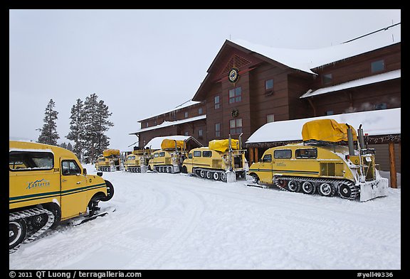 Winter Snowcoaches in front of Old Faithful Snow Lodge. Yellowstone National Park (color)