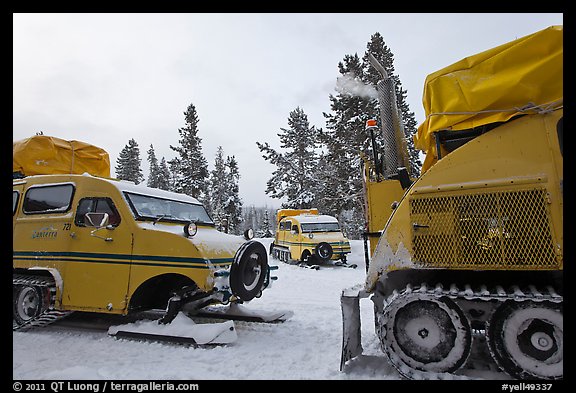 Bombardier snowcoaches. Yellowstone National Park (color)
