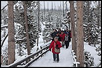 Tourists on boardwalk in winter. Yellowstone National Park ( color)