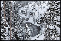 Snowy forest and Kepler Cascades. Yellowstone National Park, Wyoming, USA.