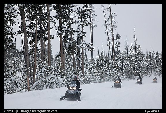 Snowmobilers. Yellowstone National Park (color)