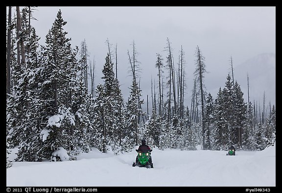 Snowmobiles. Yellowstone National Park (color)
