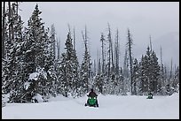 Snowmobiles. Yellowstone National Park ( color)