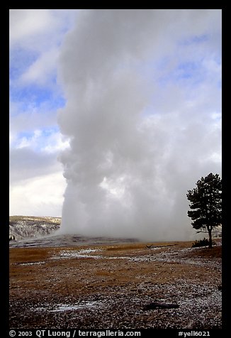 Steam column from Old Faithful Geyser. Yellowstone National Park, Wyoming, USA.