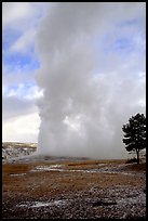 Steam column from Old Faithful Geyser. Yellowstone National Park, Wyoming, USA.