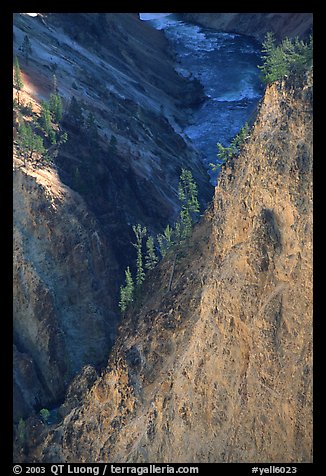 Wall and River in Grand Canyon of the Yellowstone. Yellowstone National Park (color)