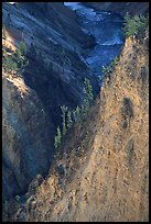 Wall and River in Grand Canyon of the Yellowstone. Yellowstone National Park ( color)