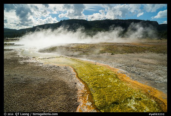 Water runoff from hot springs, Biscuit Basin. Yellowstone National Park, Wyoming, USA.