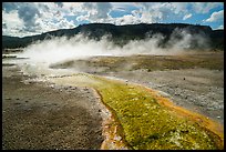 Water runoff from hot springs, Biscuit Basin. Yellowstone National Park ( color)