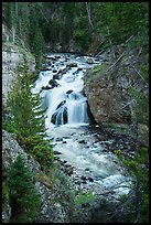 Firehole Falls. Yellowstone National Park ( color)