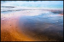 Terraces and Bacterial mats, Grand Prismatic Springs. Yellowstone National Park ( color)