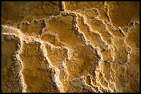 Travertine terrace detail, Mammoth Hot Springs. Yellowstone National Park ( color)
