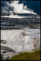 Backlit steam and pool, Main Terrace, Mammoth Hot Springs. Yellowstone National Park ( color)