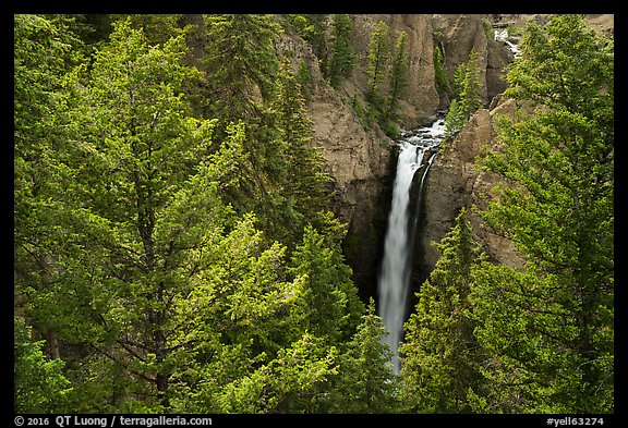 Tower Falls from above. Yellowstone National Park (color)