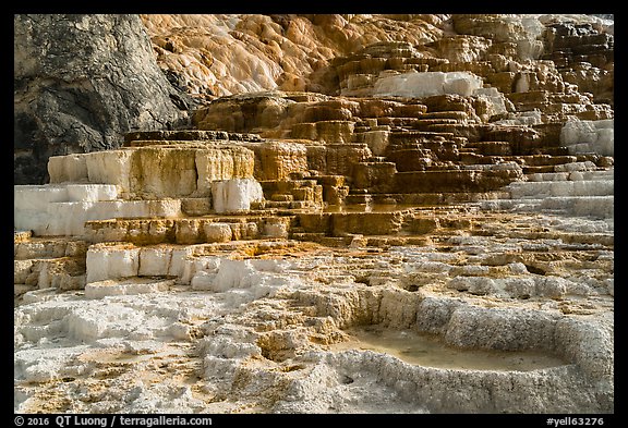 Palette Spring, Mammoth Hot Springs. Yellowstone National Park, Wyoming, USA.