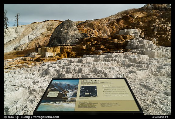 Living Color interpretive sign, Mammoth Hot Springs. Yellowstone National Park (color)