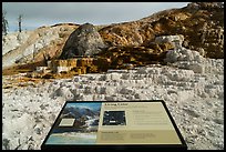 Living Color interpretive sign, Mammoth Hot Springs. Yellowstone National Park ( color)