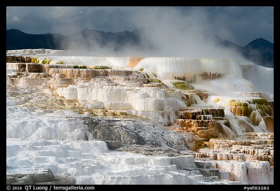 Active terraces at Canary Springs, steam, and mountains. Yellowstone National Park (color)