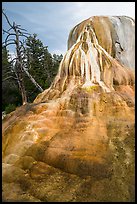 Orange Spring Mound, Mammoth Hot Springs. Yellowstone National Park ( color)