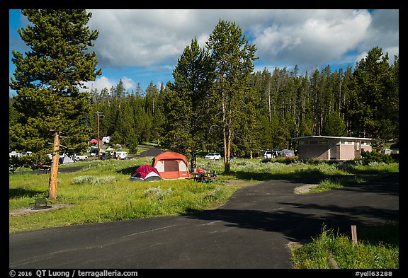 Bridge Bay Campground. Yellowstone National Park (color)