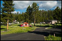 Bridge Bay Campground. Yellowstone National Park ( color)