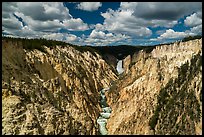 Grand Canyon of the Yellowstone from Artists Point. Yellowstone National Park ( color)