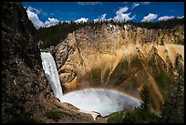 Lower Falls of the Yellowstone River with rainbow. Yellowstone National Park ( color)