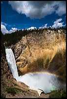 Lower Falls of the Yellowstone River from Uncle Tom Trail. Yellowstone National Park ( color)