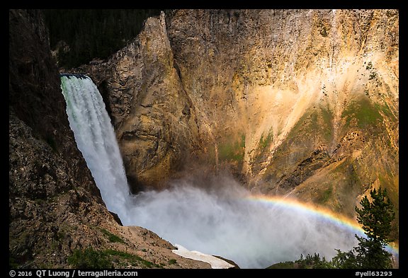Lower Falls and rainbow, Grand Canyon of the Yellowstone. Yellowstone National Park, Wyoming, USA.