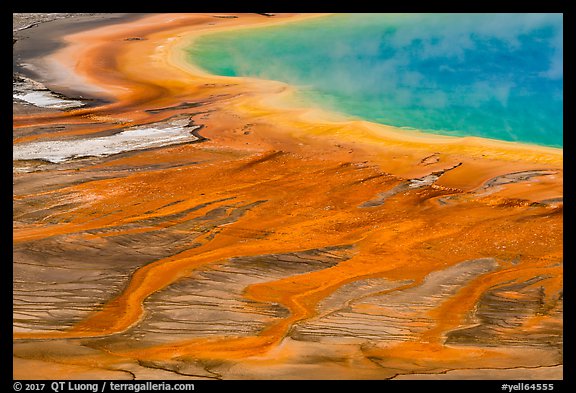 Grand Prismatic Spring detail from above. Yellowstone National Park, Wyoming, USA.