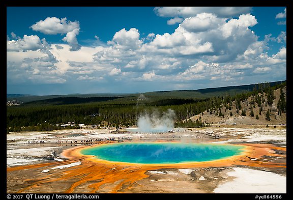 Grand Prismatic Spring from above. Yellowstone National Park, Wyoming, USA.