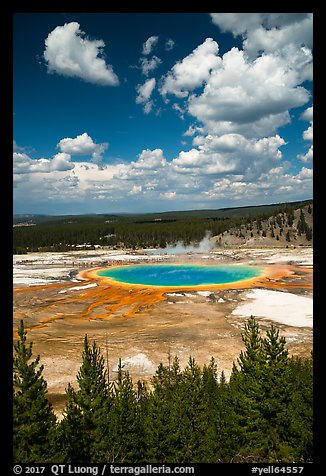 Grand Prismatic Spring from new overlook. Yellowstone National Park, Wyoming, USA.