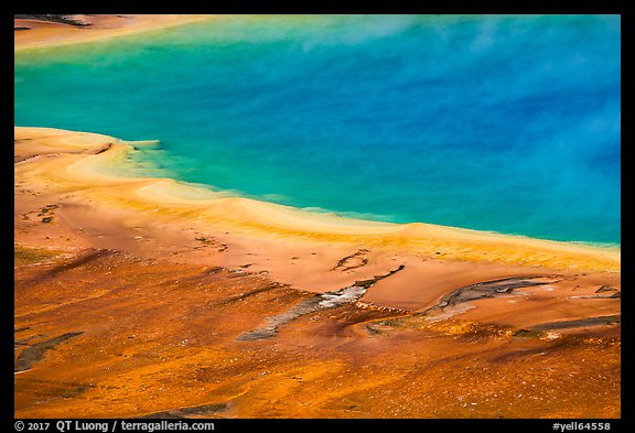 Rainbow colors of Grand Prismatic Spring. Yellowstone National Park, Wyoming, USA.