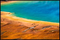 Rainbow colors of Grand Prismatic Spring. Yellowstone National Park ( color)