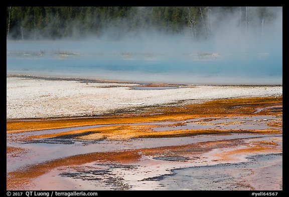 Steam rising from Rainbow Pool. Yellowstone National Park (color)