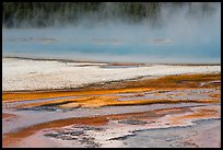 Steam rising from Rainbow Pool. Yellowstone National Park ( color)