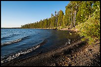 Lewis Lake and surf. Yellowstone National Park ( color)