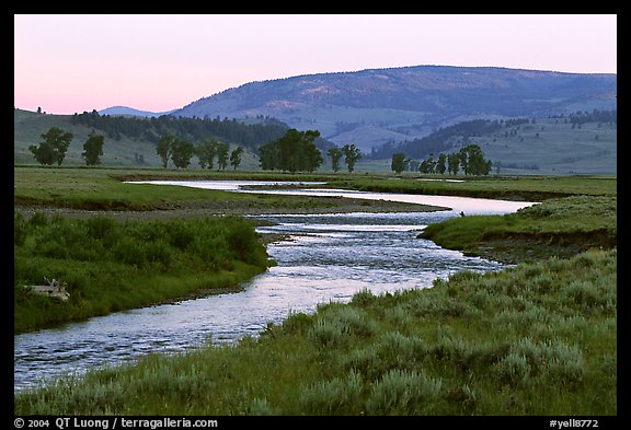 Soda Butte Creek, Lamar Valley, dawn. Yellowstone National Park (color)