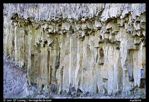 Basalt columns. Yellowstone National Park, Wyoming, USA.